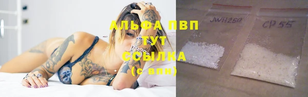 стаф Ладушкин