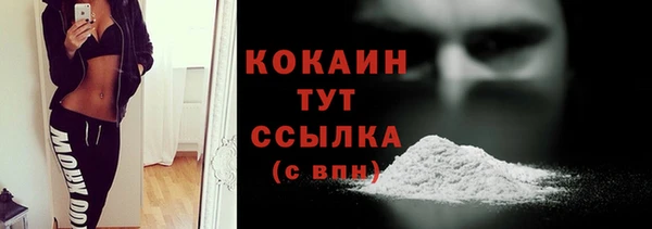 стаф Ладушкин
