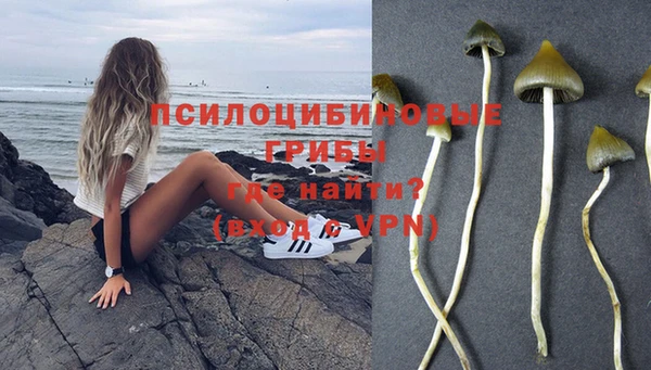 ГАЛЛЮЦИНОГЕННЫЕ ГРИБЫ Абинск